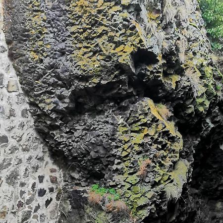 Gite 4 Pers Avec Cour, Vue Loire - Fr-1-582-122 Arlempdes Exteriör bild