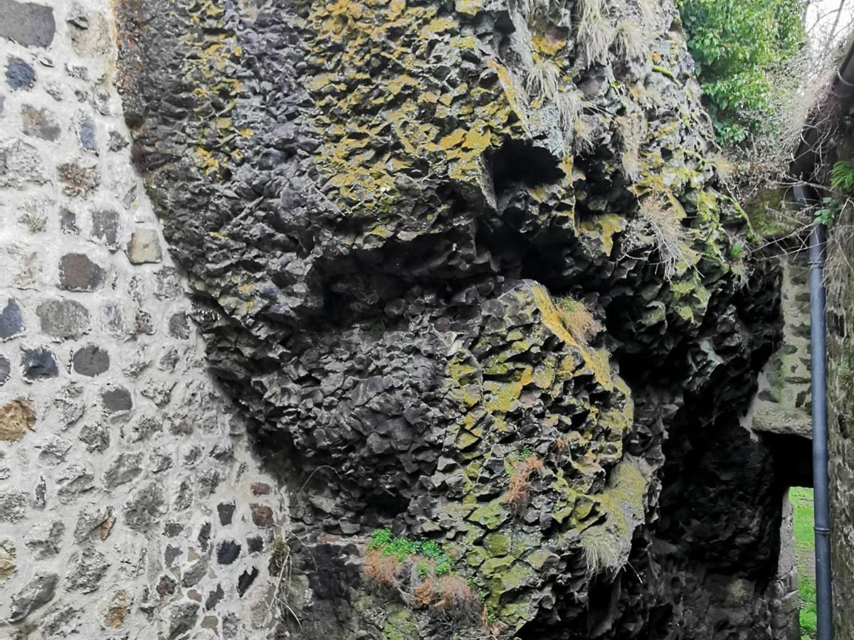 Gite 4 Pers Avec Cour, Vue Loire - Fr-1-582-122 Arlempdes Exteriör bild
